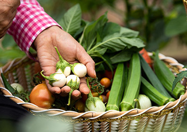  Our Annual General Assembly Meeting Was Held